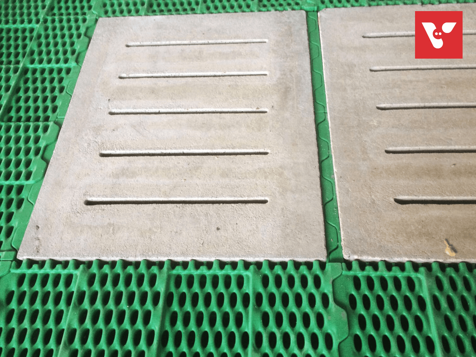 Pro Dromi® Basic - Afbeelding 10