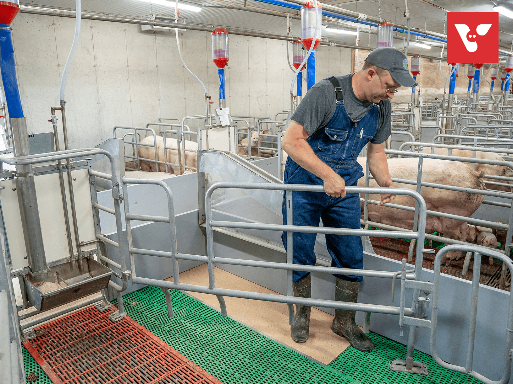 Pro Dromi® Basic - Afbeelding 2