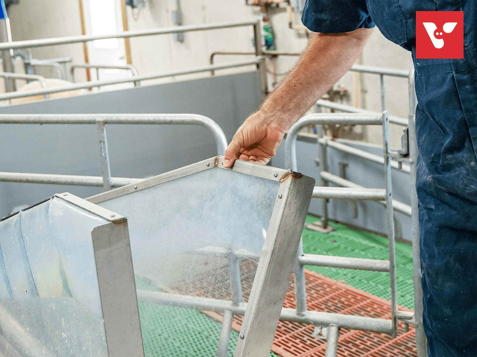 Pro Dromi® Basic - Afbeelding 4