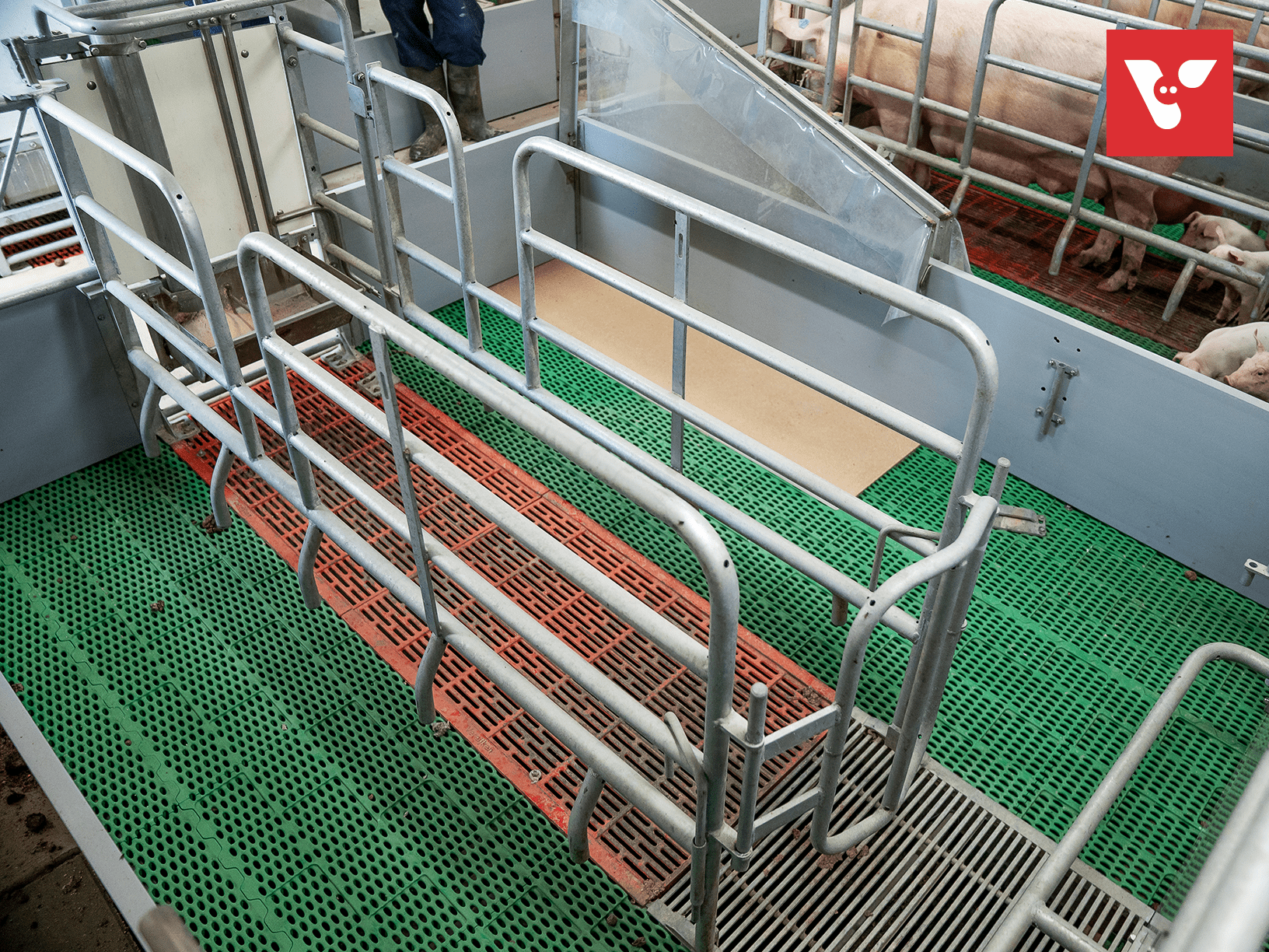 Pro Dromi® Basic - Afbeelding 7