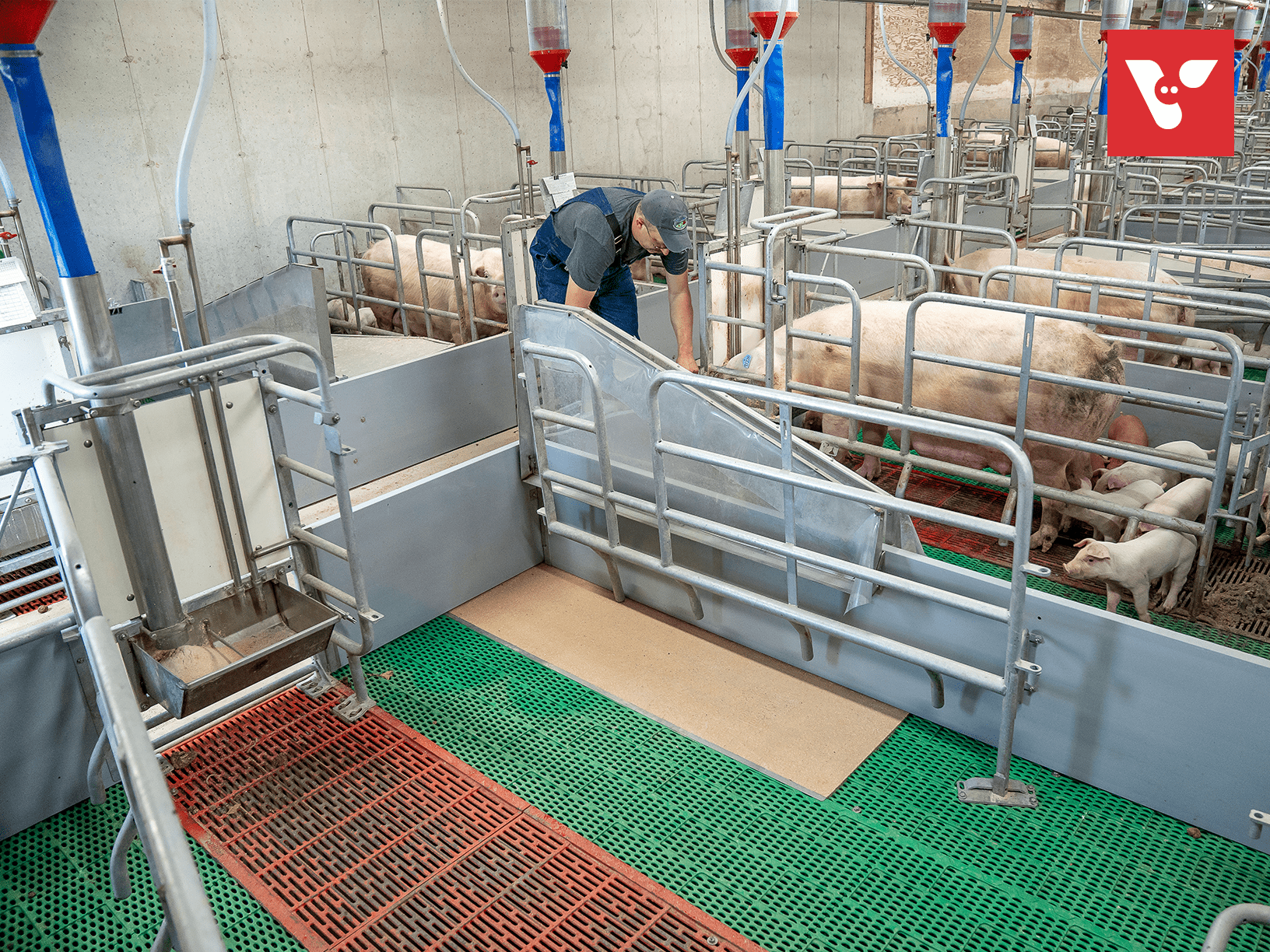 Pro Dromi® Basic - Afbeelding 11