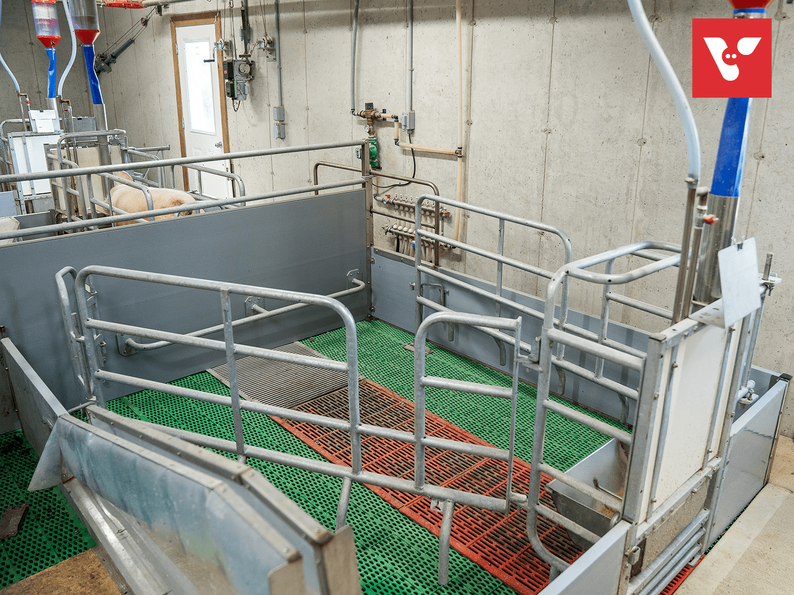 Pro Dromi® Basic - Afbeelding 9