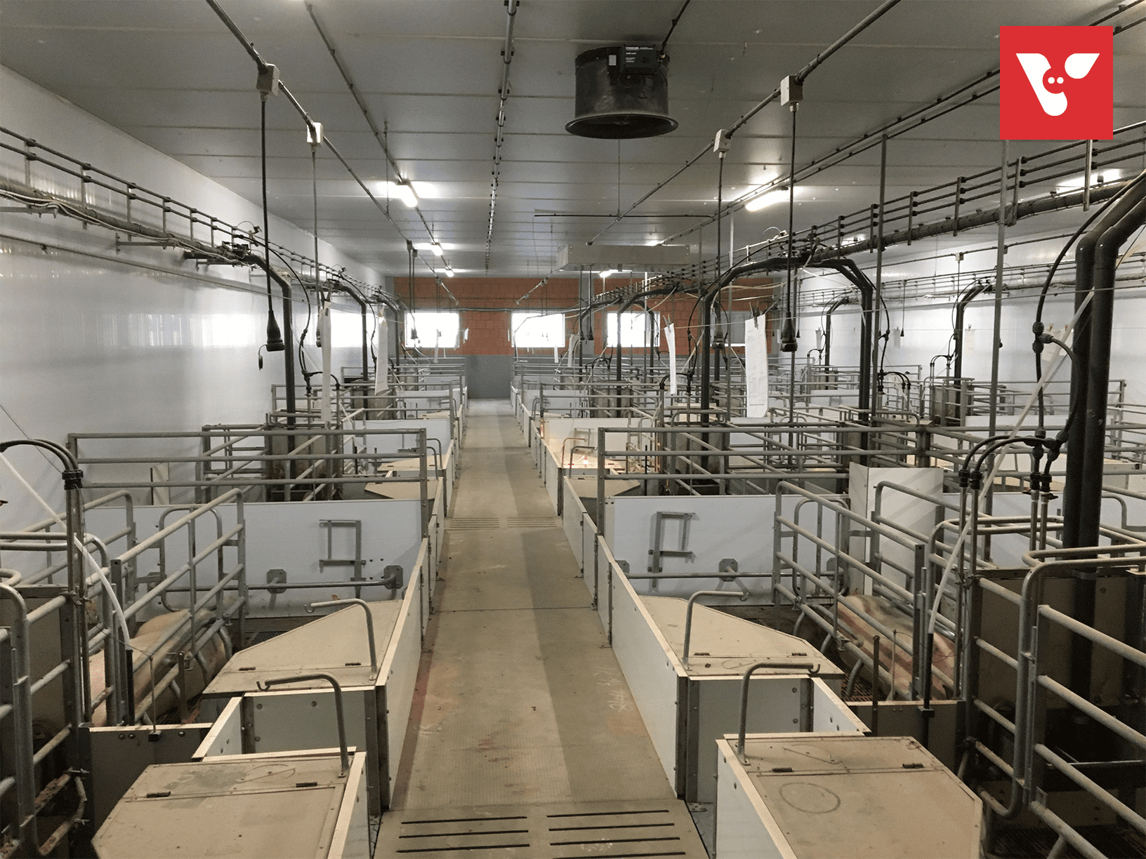 Pro Dromi® Basic - Afbeelding 18