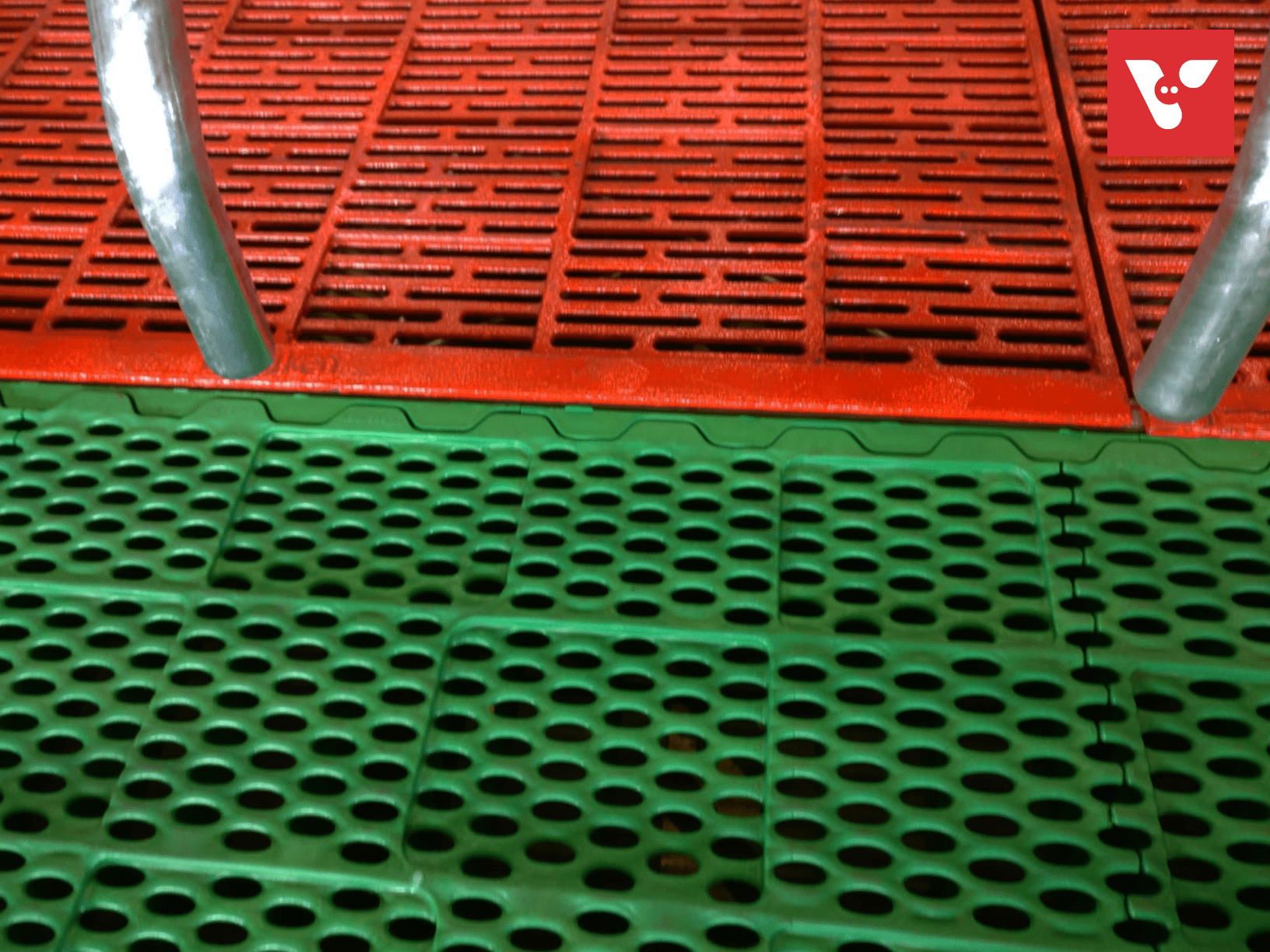 Pro Dromi® Up - Afbeelding 3
