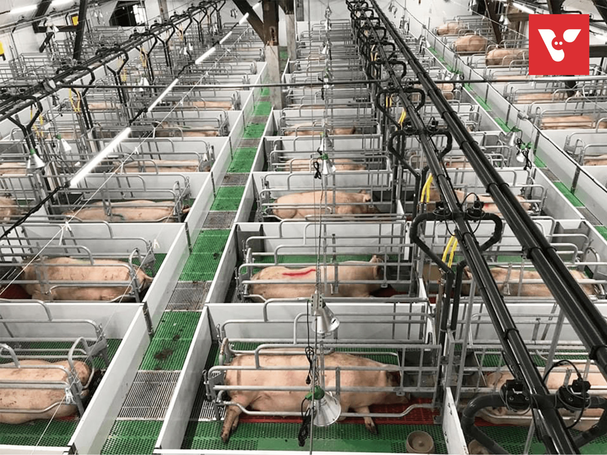 Modulaire vloeren: wandpositionering - Afbeelding 7