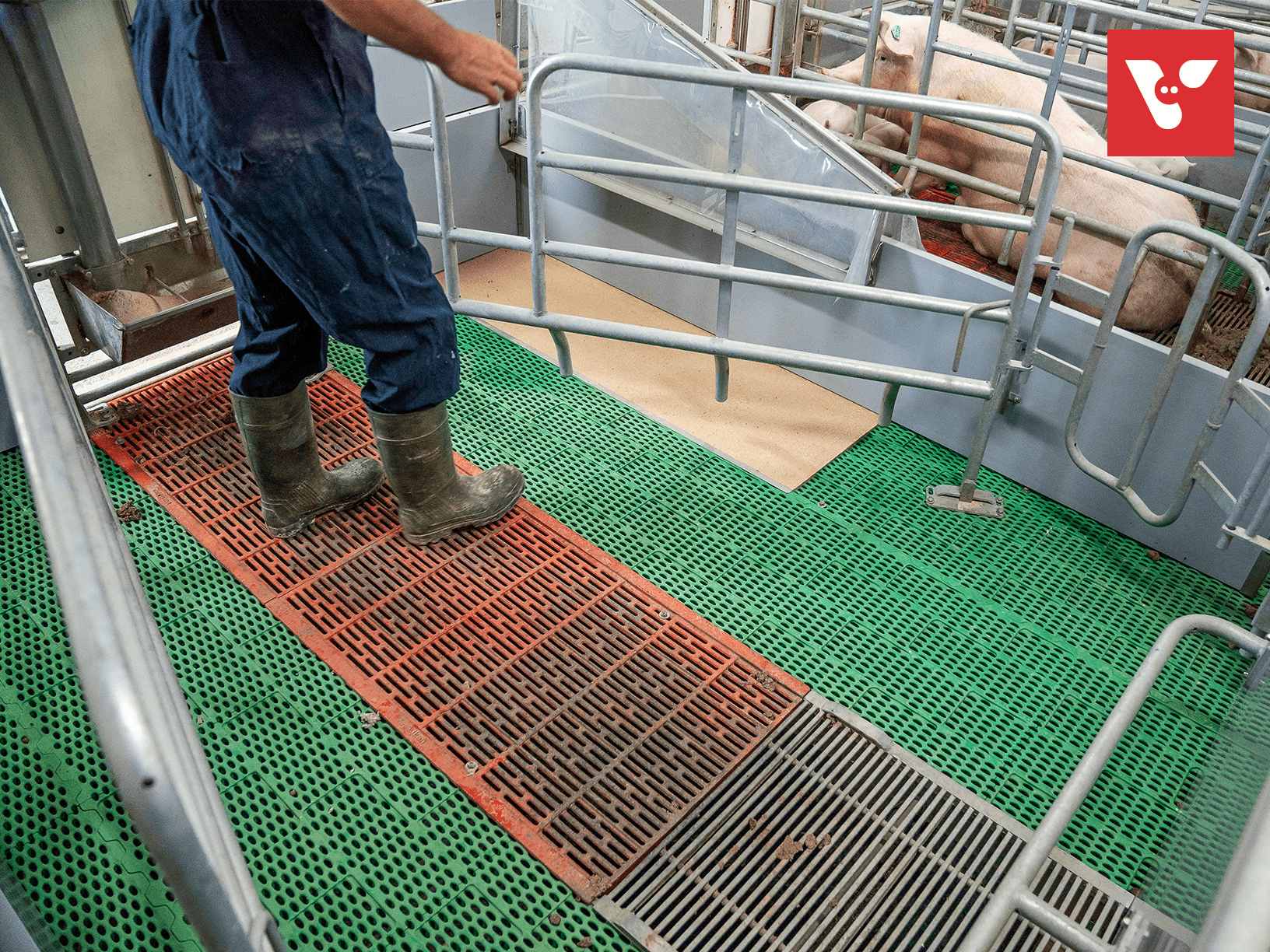 Pro Dromi® Basic - Afbeelding 5