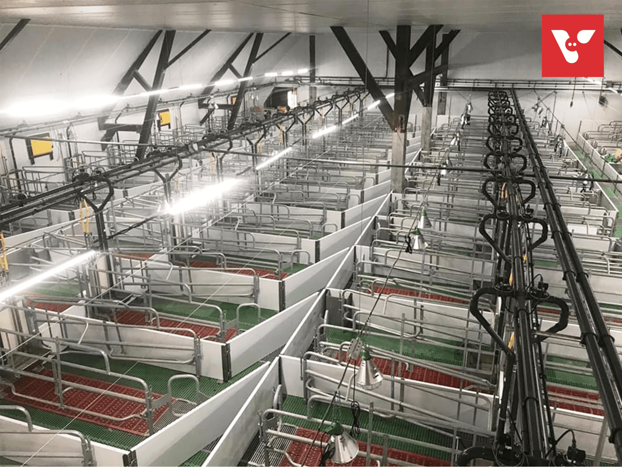 Modulaire vloeren: wandpositionering - Afbeelding 6
