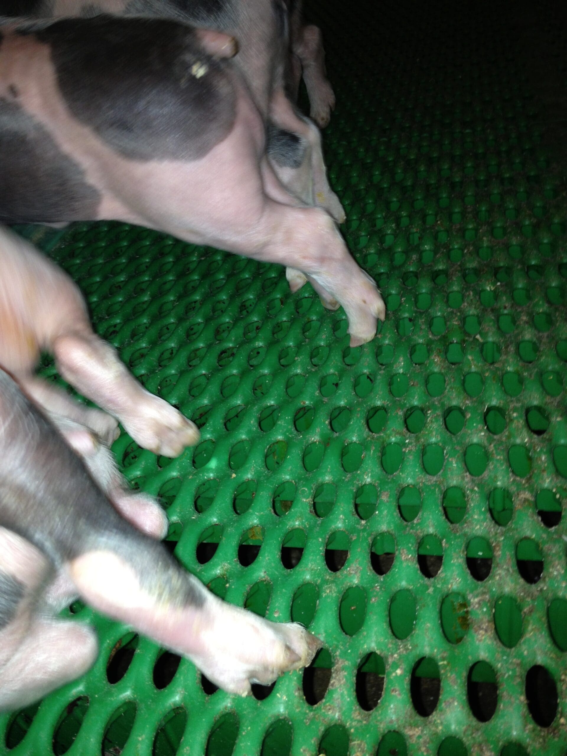Plastic Pro Step Slats - Afbeelding 7