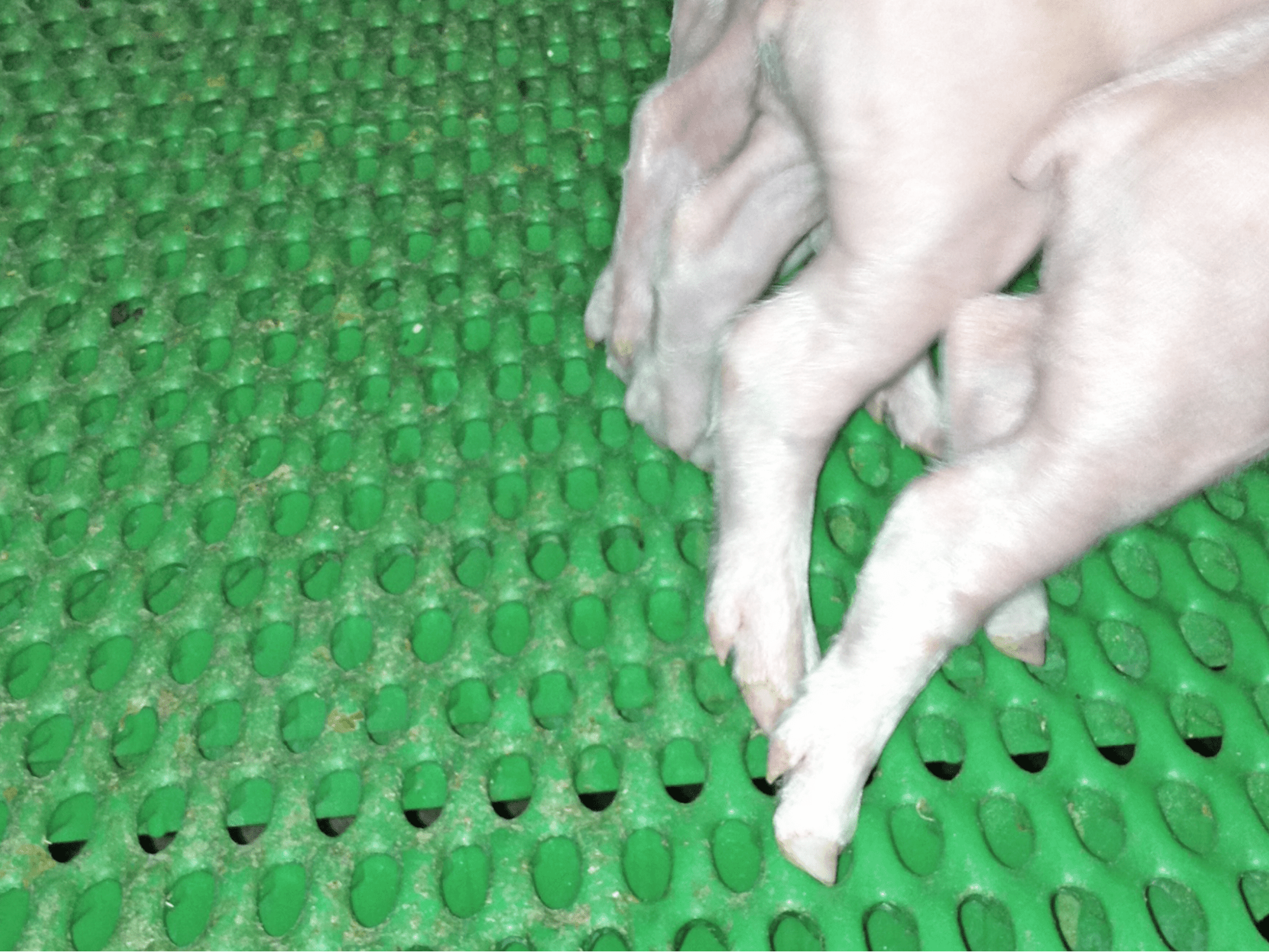 Plastic Pro Step Slats - Afbeelding 15
