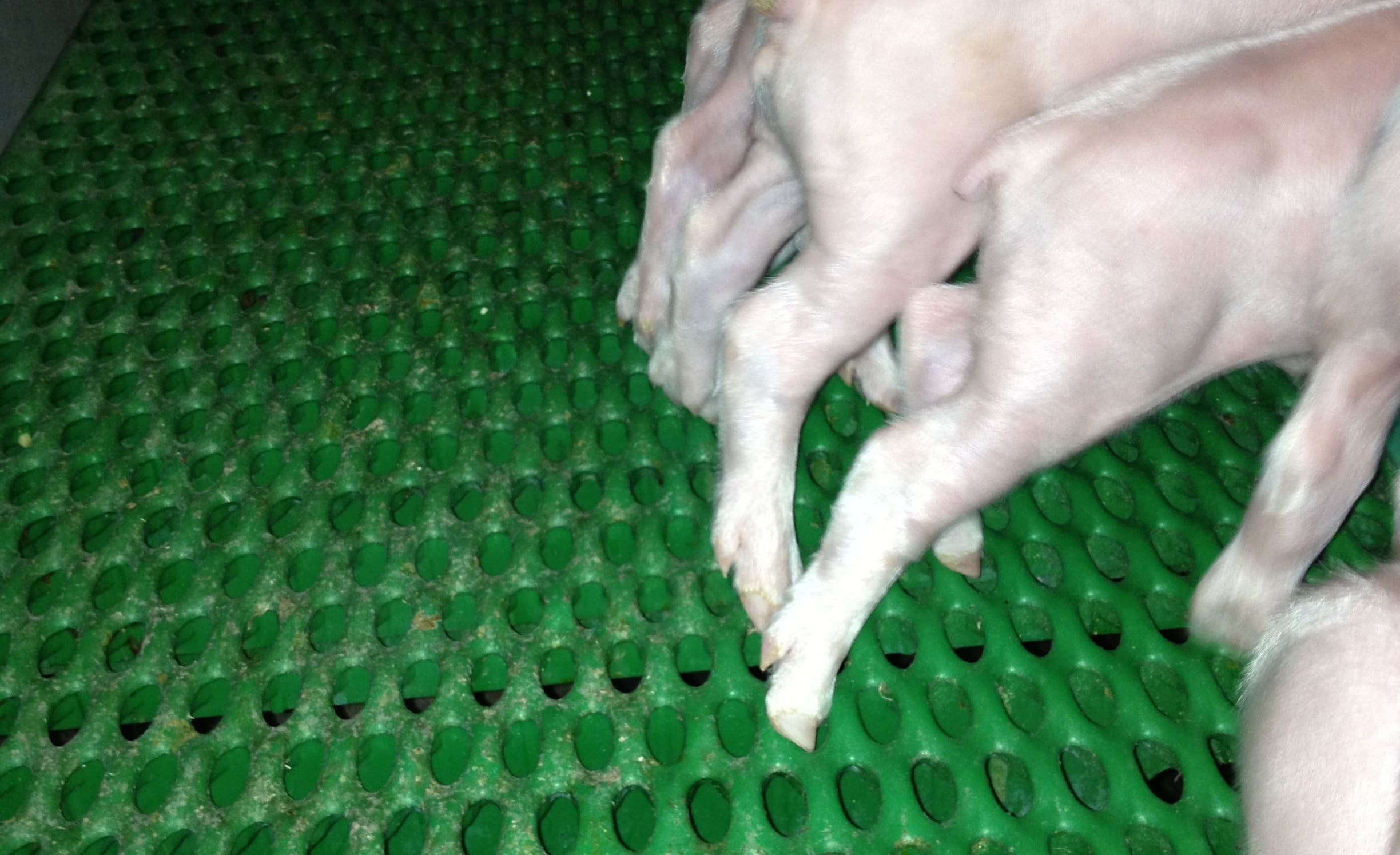 Plastic Pro Step Slats - Afbeelding 13