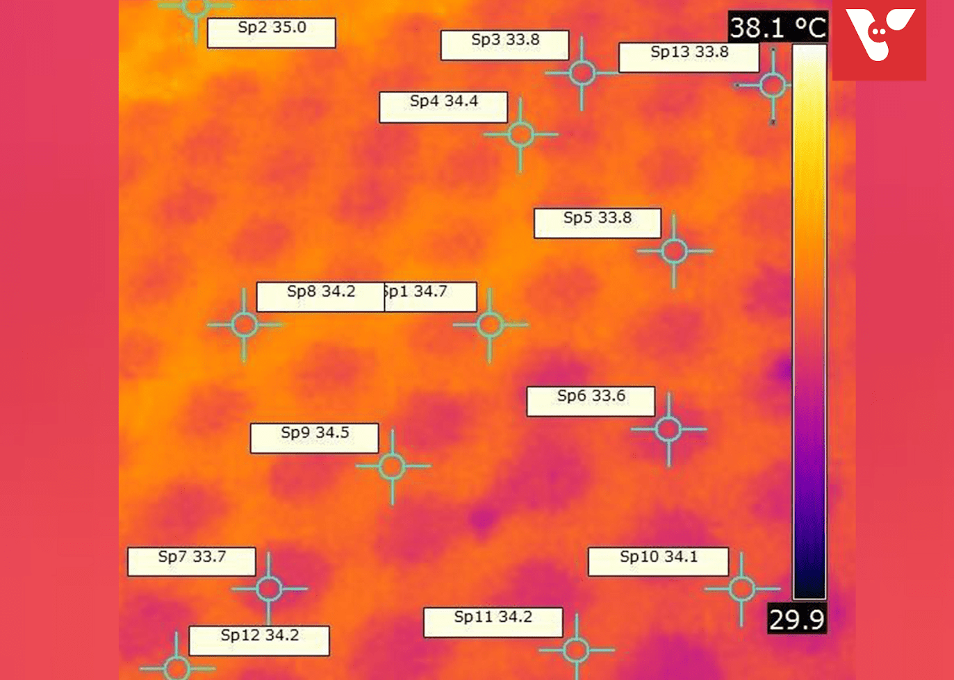 Easy Climate Biggen Nest - Afbeelding 2